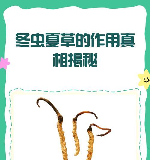 冬虫夏草，是草还是虫？（探究冬虫夏草的身份谜团）