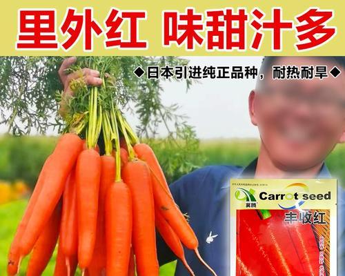 胡萝卜种子的种植方法（如何种植胡萝卜种子，让你的园艺更美好）