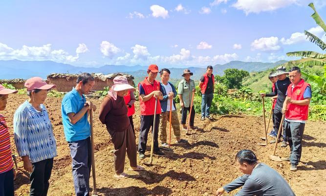 大麦种植技巧详解（时间、方法、管理全掌握，助你丰收）