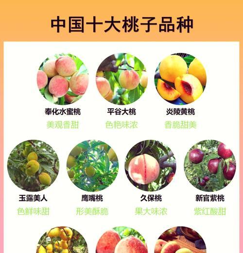 水蜜桃果肉的颜色（探究水蜜桃果肉颜色的成因及对健康的影响）