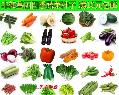 如何留种子（从种植到收获，一步步教你留下大白菜的种子）