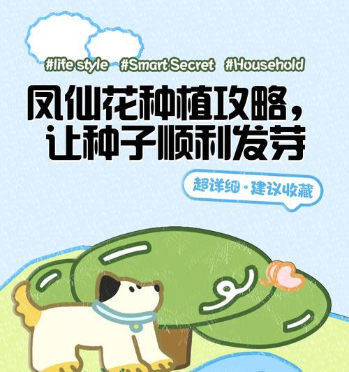 如何种植优美的凤仙花种子？（详解凤仙花种子种植的步骤与技巧）