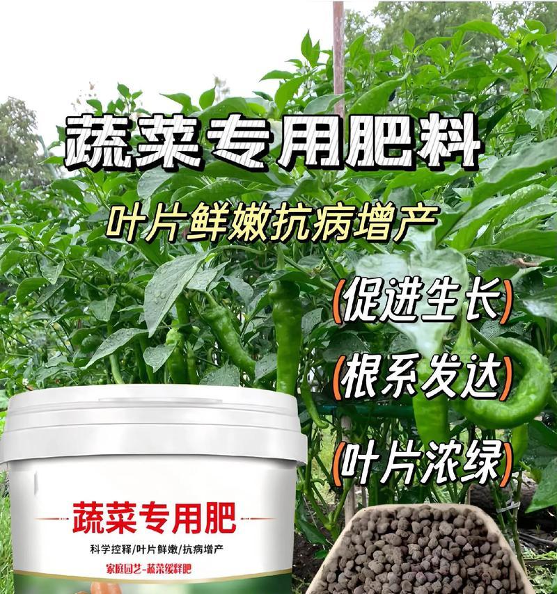 大白菜肥料使用指南（如何选择最适合大白菜生长的肥料）