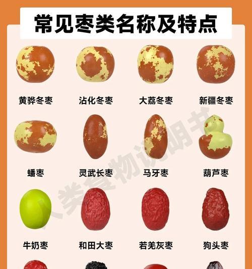 干红枣成熟上市季节剖析（了解干红枣成熟上市时间，做好采购计划）