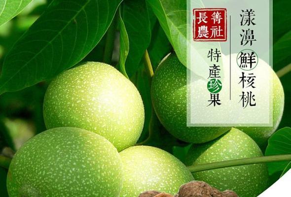 哪里产的小核桃最好？（探寻小核桃产地的优势和不足）
