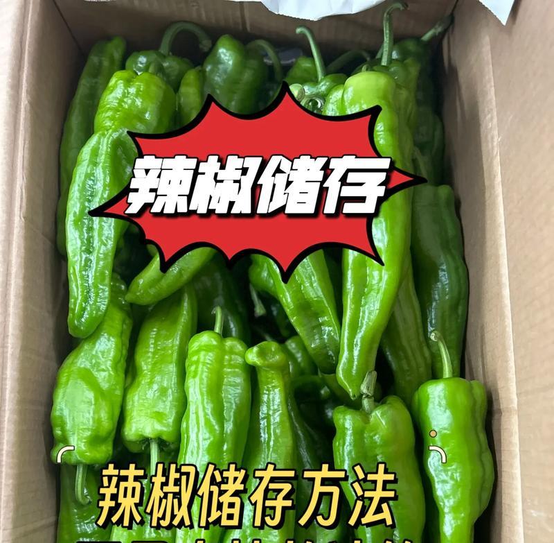 青椒可以冷冻保存吗？一探真相！（如何正确地将青椒冷冻保存？冷冻青椒的优缺点分析）