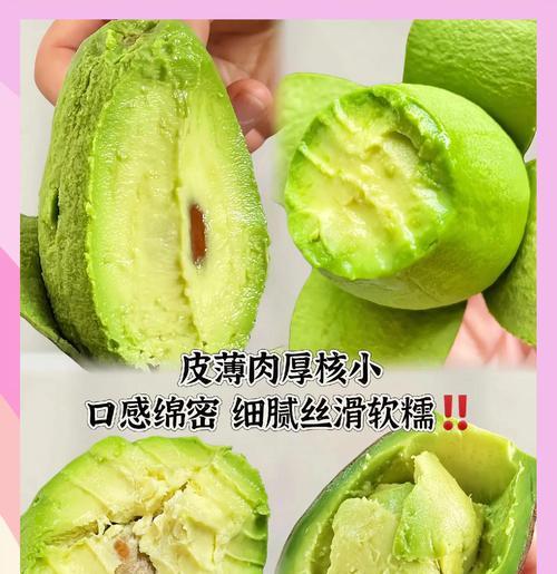 全球最佳产地？探寻牛油果的故乡（哪里的牛油果最好？一场环球之旅的寻找）