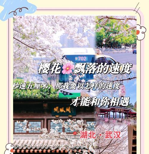 武大樱花花期及观赏攻略（详解武大樱花花期、观赏点位及注意事项）