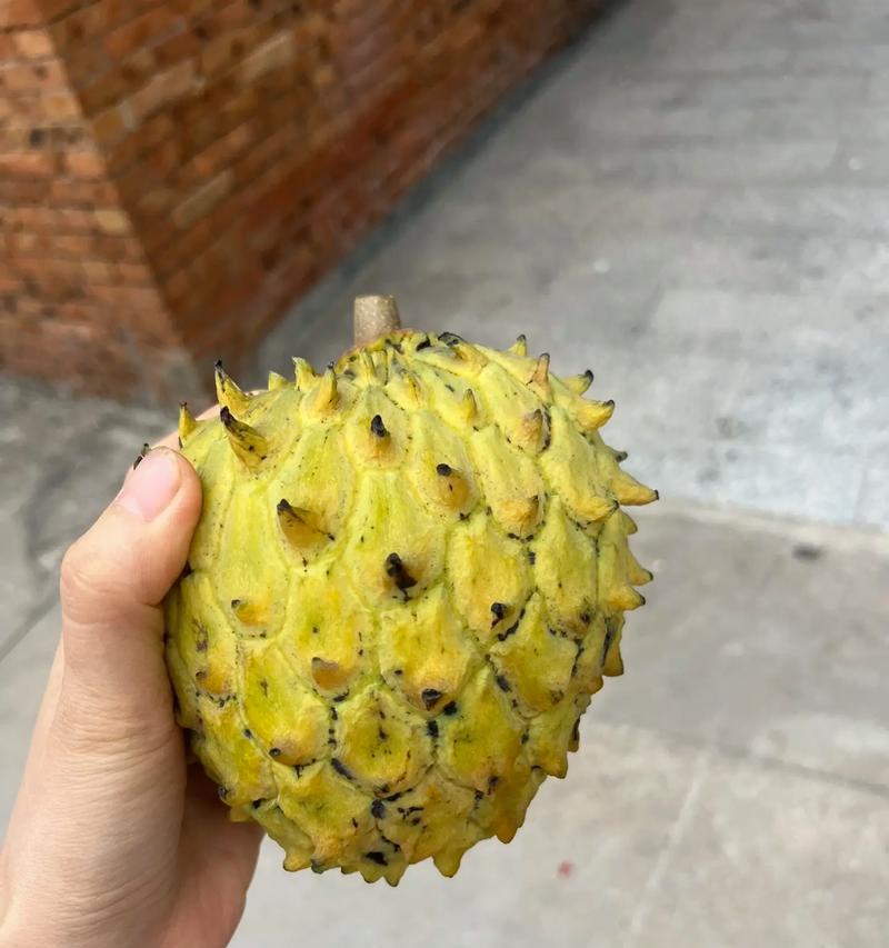 凤梨成熟的时间（挑选凤梨应该注意什么）