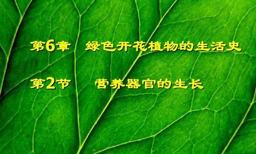 树叶是树木植物营养器官的重要组成部分（探究树叶在植物生长发育中的重要作用）