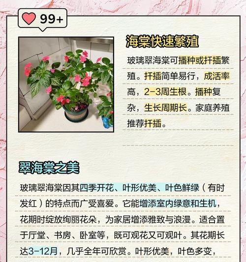 玻璃海棠扦插攻略：可行性、方法与技巧