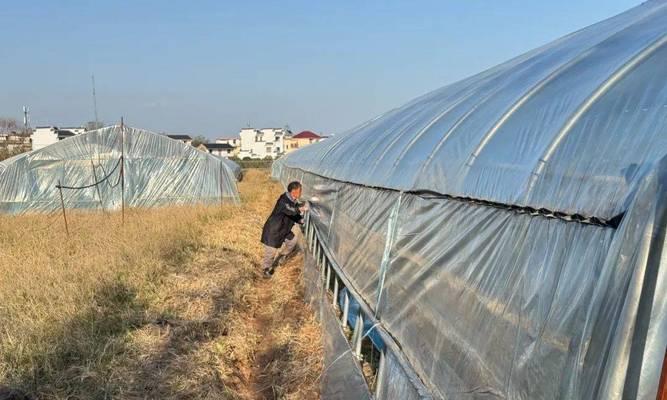 寒冷地区适宜种植的农作物（探究极地、高海拔等寒冷地区的农业发展及适合种植的作物品种）