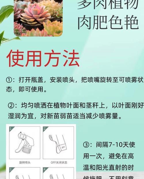 如何为仙人球施加最佳底肥（仙人球底肥放什么肥好？底肥施用方法大揭秘！）
