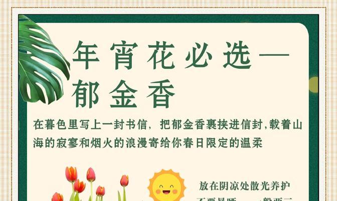 水培郁金香的养殖方法与注意事项（打造花园中的小清新）