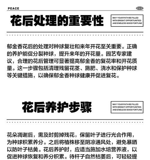 水培郁金香的养殖方法与注意事项（打造花园中的小清新）