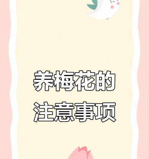 梅花开花时是否需要浇水？（揭开梅花开花的浇水秘密，让花儿更加茂盛）
