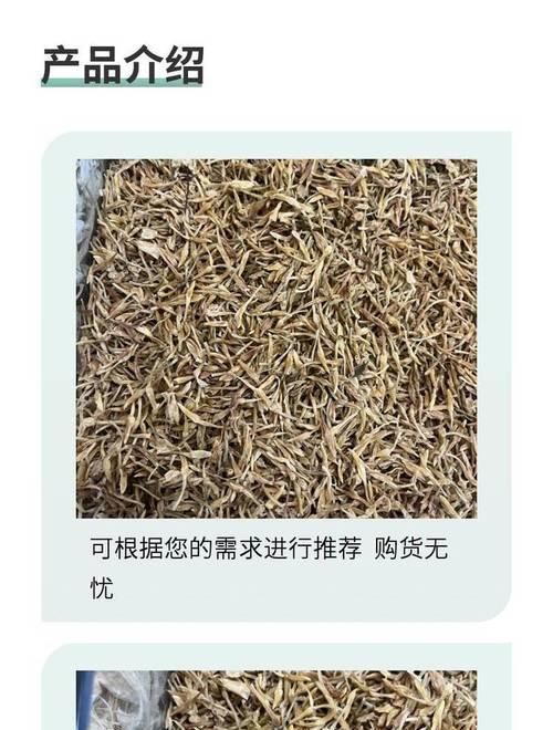 如何养护素馨花？（素馨花的养殖方法和注意事项）