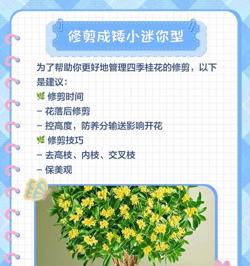 剪枝最佳时机——如何为你的桂花树梳理枝干（桂花树的剪枝要点与技巧，让你的花开更艳）