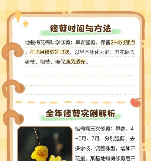 梅花浇水时间和正确方法（如何给梅花浇水？梅花浇水的注意事项和技巧）