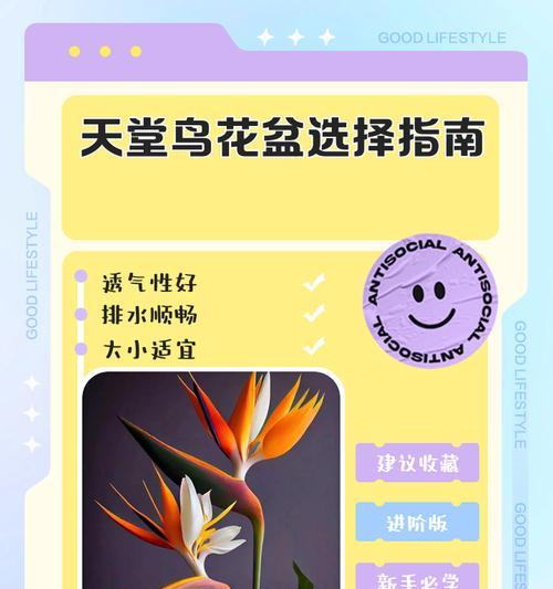 如何选择合适的盆为天堂鸟营造理想家园？（如何为天堂鸟选购合适的鸟笼和鸟缸？）