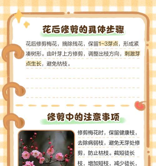 梅花修剪的艺术（打造优美梅花盆景，尽在修剪）