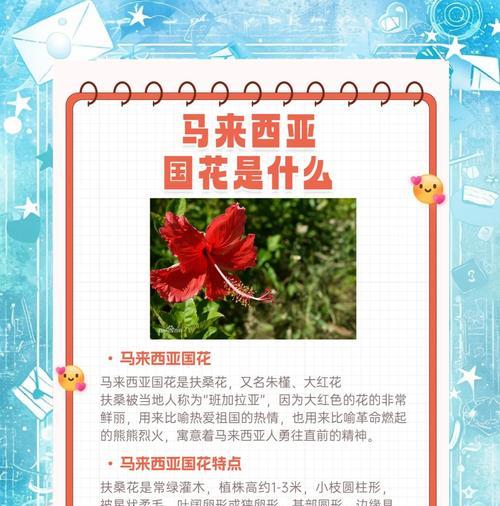 扶郎的花语（传递爱意的花卉语言与扶郎的美丽传说）
