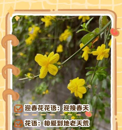 主角花语（以玫瑰花语为主题的主角故事）