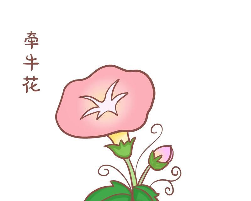 喇叭花（探寻喇叭花的文化寓意和美学价值）