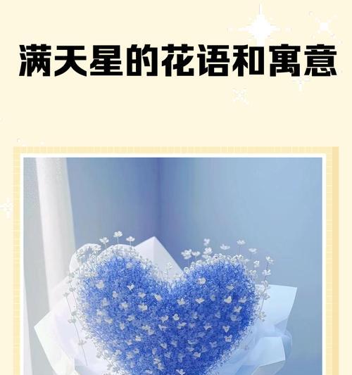 满天星花语（探索满天星花朵的色彩意义与象征）