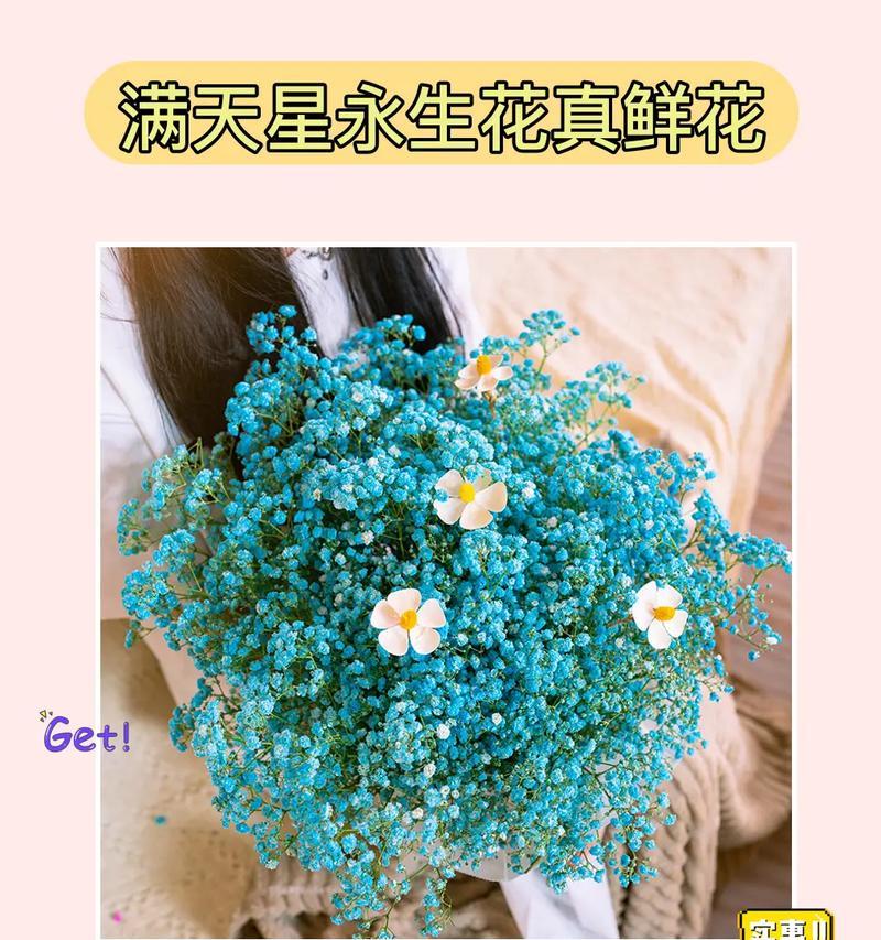 满天星花语（探索满天星花朵的色彩意义与象征）