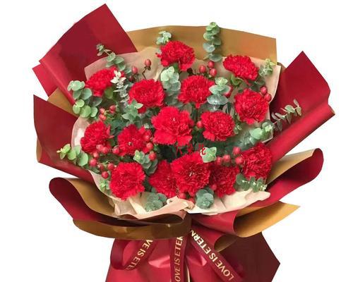 红色康乃馨的花语与意义（探寻红色康乃馨的美丽与深意）