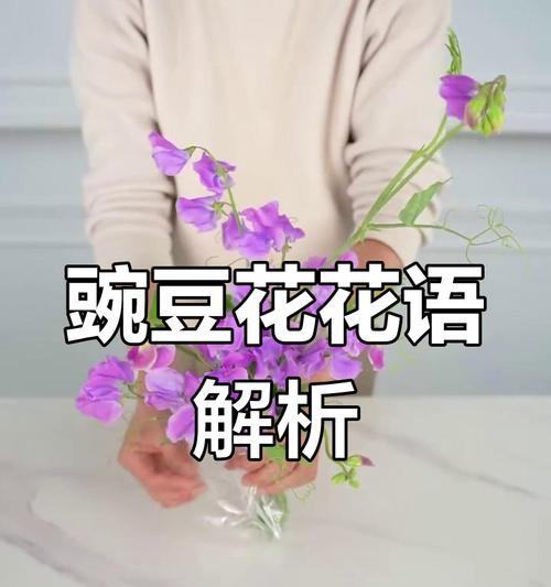 错过的花语——玫瑰的凋零（时光与机缘的错过，从花瓣的凋谢中汲取勇气）