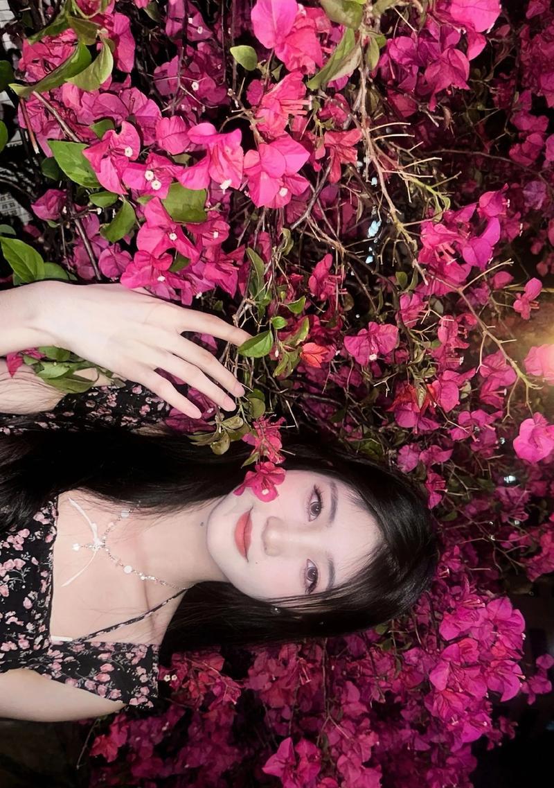 三角梅的花语与寓意（花开寄托情愫，三角梅传递无尽爱意）