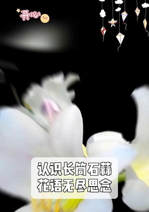 石蒜花花语的意义与传承（探索石蒜花语的美妙世界）