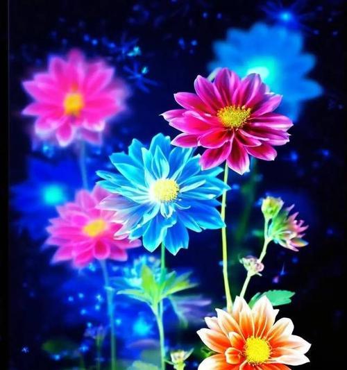 黑夜中的光明——以百合花的花语为主题的文章（揭示黑暗中的希望与美丽，百合花散发出生命之光）