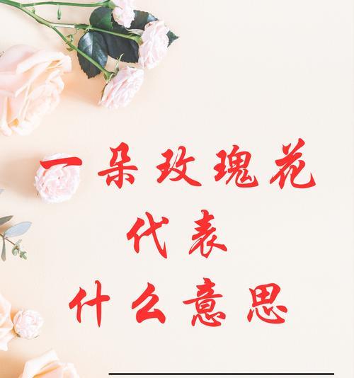 玫瑰花语的神秘寓意（探索玫瑰花语的意义与魅力）