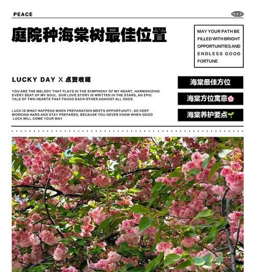 海棠树的寓意与风水（探寻海棠树的吉祥象征与风水禁忌）