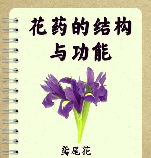 揭秘鸢尾花的花语和象征意义（用花语解读鸢尾花的神秘世界）