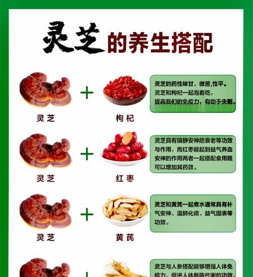 灵芝之境（探寻灵芝的奥秘与美妙）