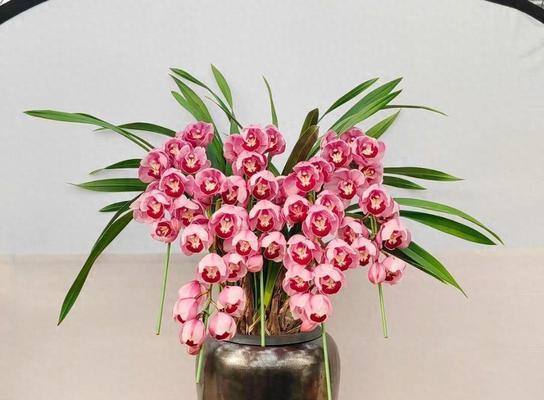 花开如意，吉祥绽放（以代表吉祥如意的花为主题的探索与赞美）