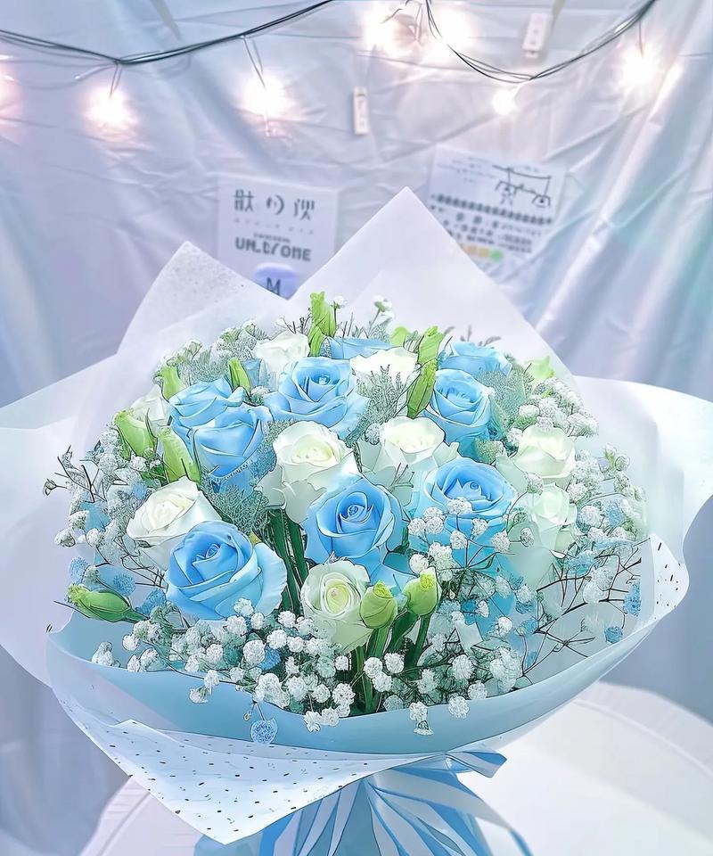满天星花语（透过满天星花的美丽，感受幸福的力量）