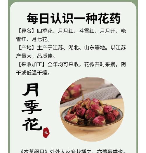 月季花莲花语（探寻月季花莲花语中的深意）