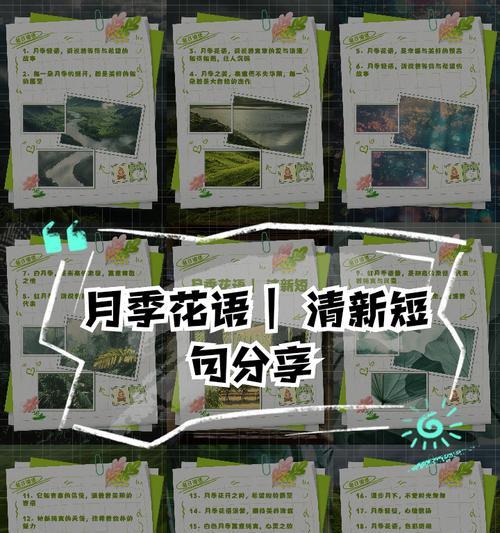 月季花莲花语（探寻月季花莲花语中的深意）