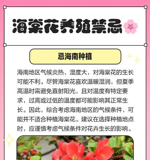 海棠的寓意和象征风水（美丽的海棠花与福寿兼备的象征意义）